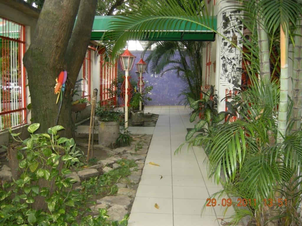 Tamarindo Hostel San Pedro Sula Exterior photo